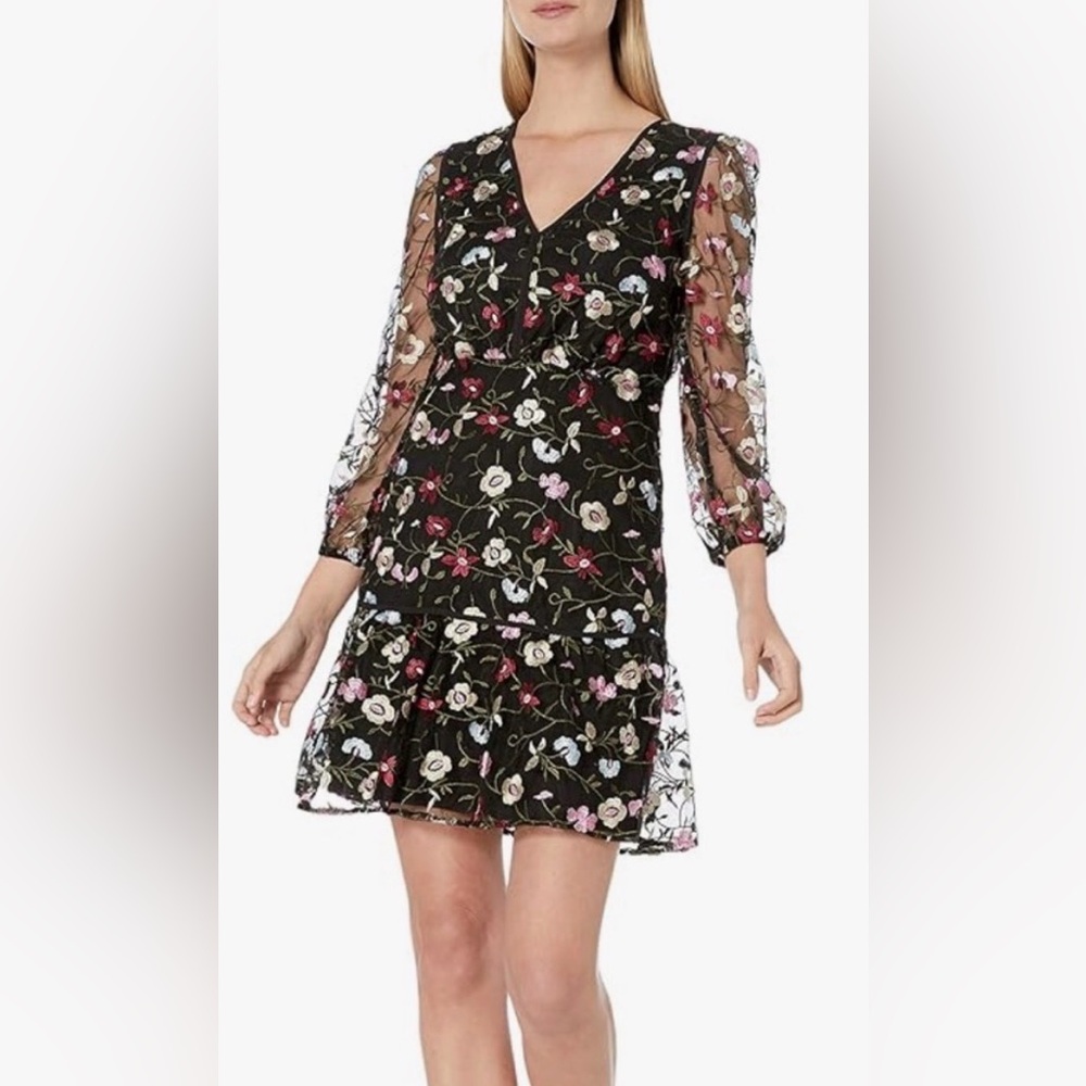 Sam Edelman Floral Embroidered Mesh Blouson Dress
